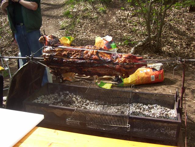 Steinkuhle 2008 (10).JPG